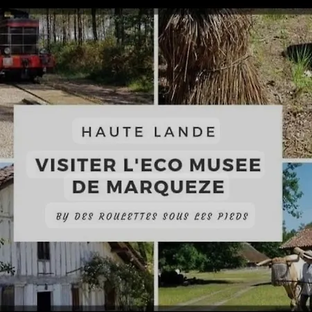 Aux Sources De Lesquire Maison 5 5 Salles De Bains , 11 Personnes